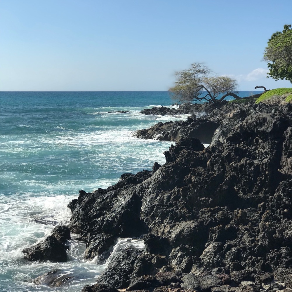 Meet your Posher, Molly